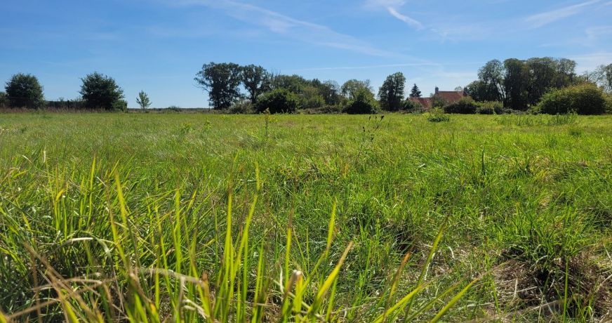 vente Terrain diffus (hors lotissement) Saint Aout