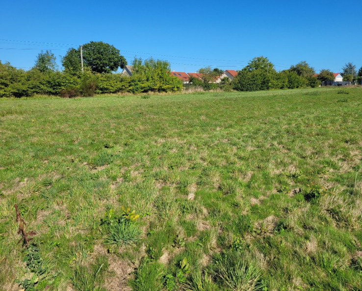 vente Terrain diffus (hors lotissement) Saint Aout - Photo 3