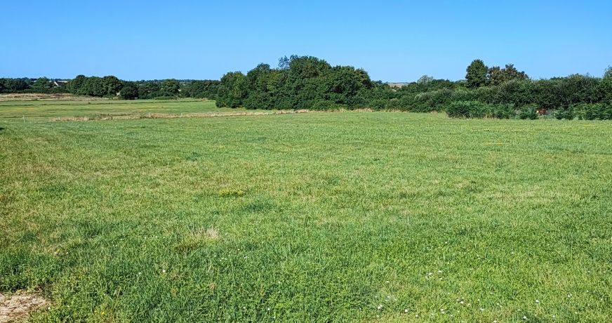 vente Terrain constructible La Guerche Sur L'aubois