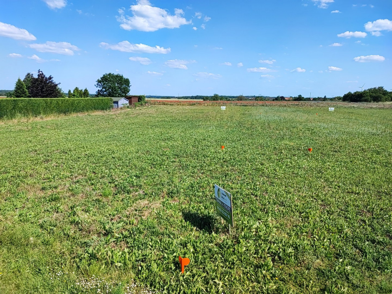 à vendre Terrain constructible Villeneuve Sur Cher - Photo 1