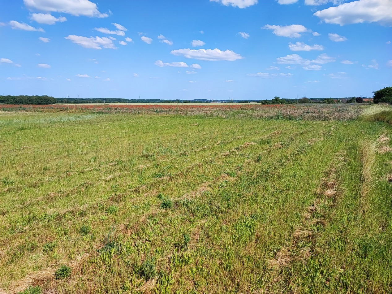 à vendre Terrain constructible Villeneuve Sur Cher - Photo 2