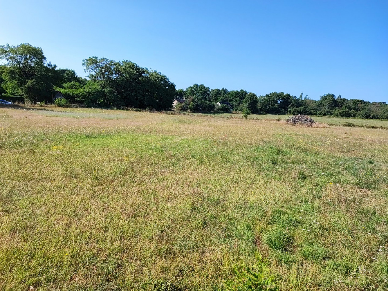 à vendre Terrain diffus (hors lotissement) Sainte Gemme - Photo 5