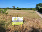 à vendre Terrain diffus (hors lotissement) Sainte Gemme