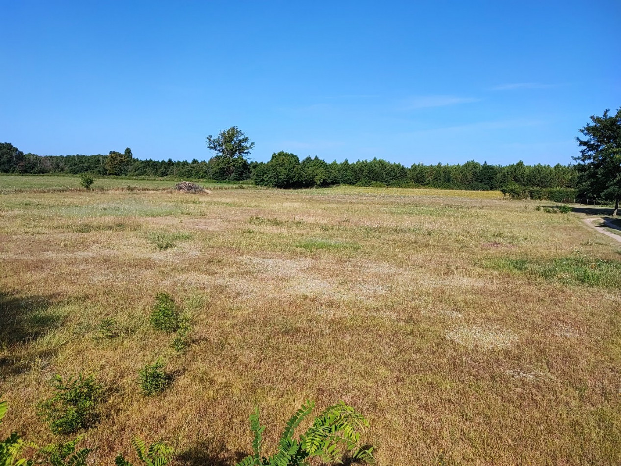 à vendre Terrain diffus (hors lotissement) Sainte Gemme - Photo 4