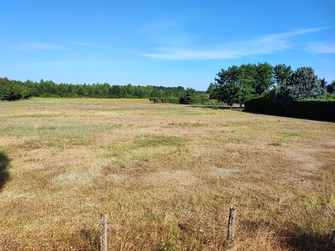 à vendre Terrain diffus (hors lotissement) Sainte Gemme - Photo 2