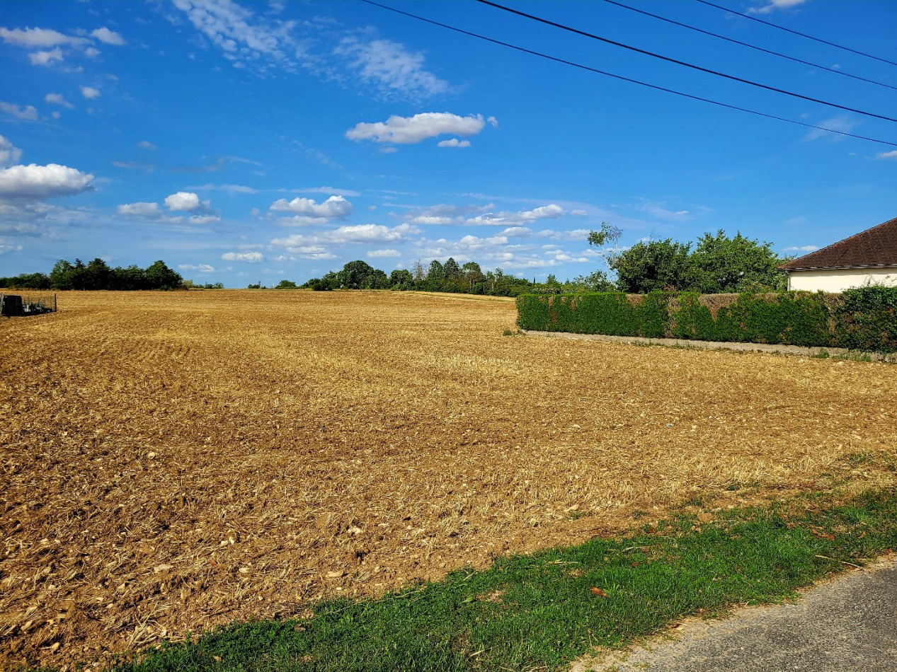 à vendre Terrain diffus (hors lotissement) Issoudun - Photo 2