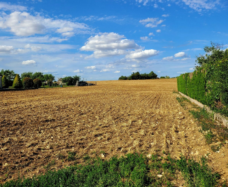 vente Terrain diffus (hors lotissement) Issoudun - Photo 2
