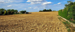 vente Terrain diffus (hors lotissement) Issoudun