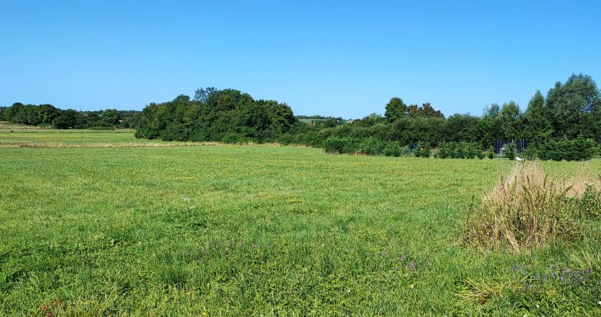 vente Terrain constructible La Guerche Sur L'aubois