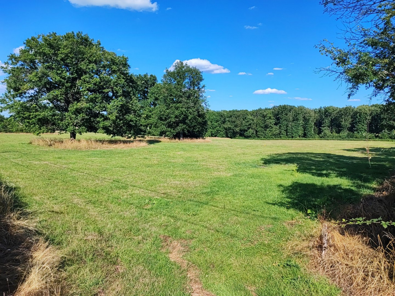 à vendre Terrain constructible Charrin - Photo 2