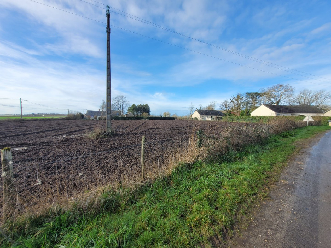 à vendre Terrain constructible Vineuil - Photo 3