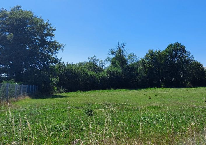 à vendre Terrain diffus (hors lotissement) Montipouret