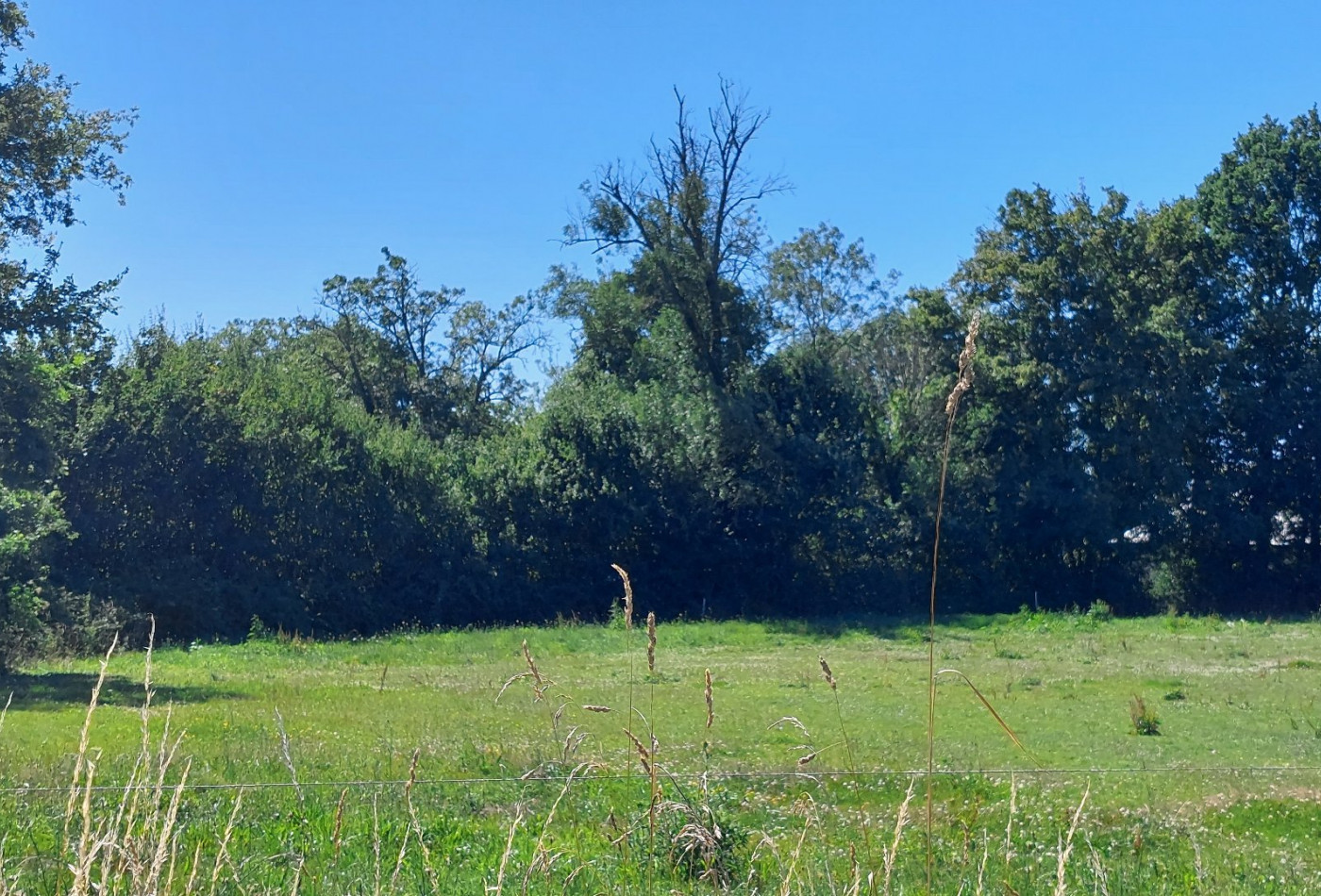 vente Terrain diffus (hors lotissement) Montipouret - Photo 3