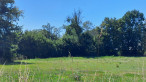 à vendre Terrain diffus (hors lotissement) Montipouret