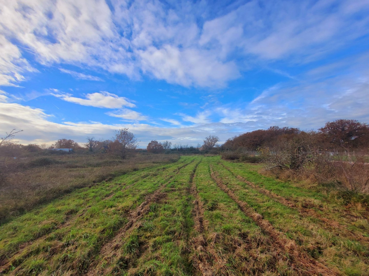 à vendre Terrain constructible Lys Saint Georges - Photo 1