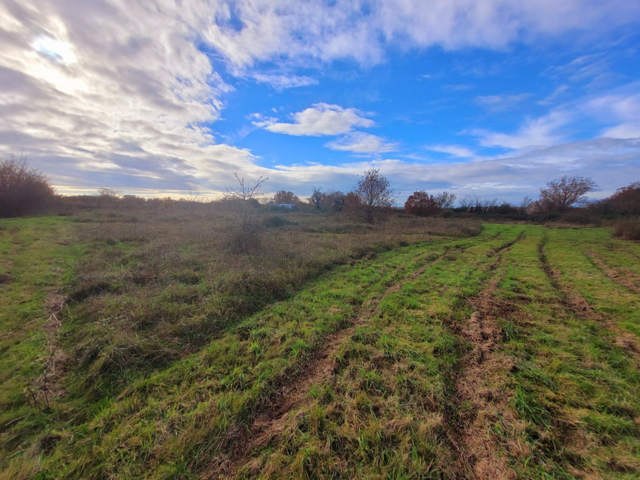 à vendre Terrain constructible Lys Saint Georges - Photo 2