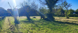 vente Terrain constructible Allogny