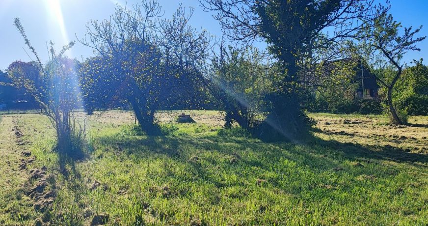 vente Terrain constructible Allogny