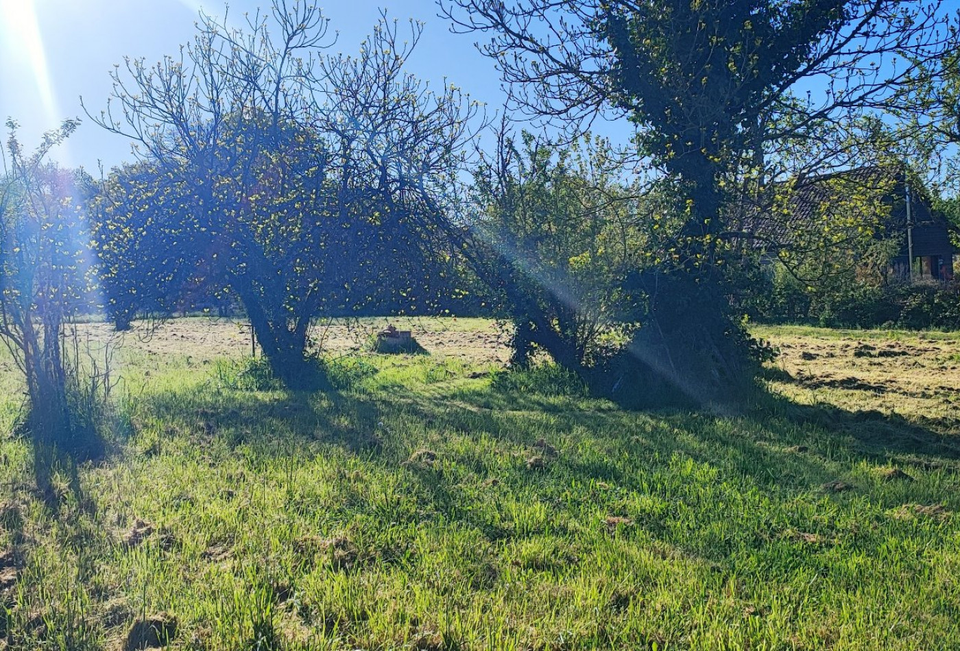 vente Terrain constructible Allogny - Photo 3