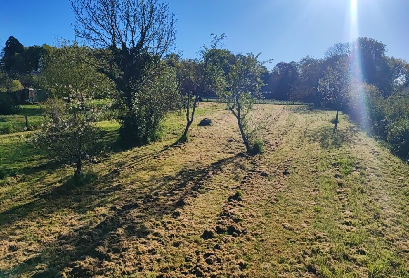 vente Terrain constructible Allogny - Photo 2