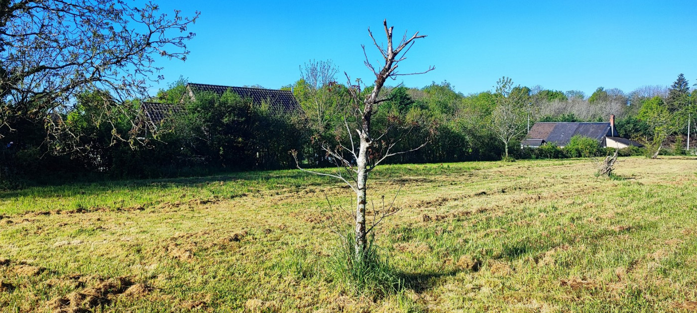 à vendre Terrain constructible Allogny - Photo 2