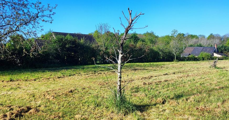 vente Terrain constructible Allogny