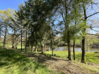 à vendre Etang La Chatre