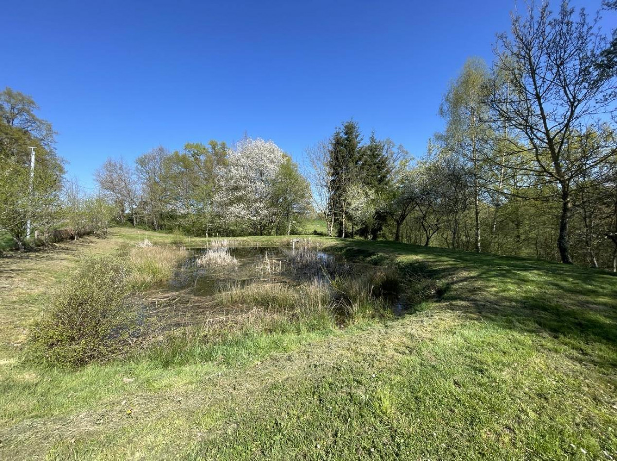 à vendre Etang La Chatre - Photo 8