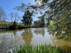 à vendre Etang La Chatre