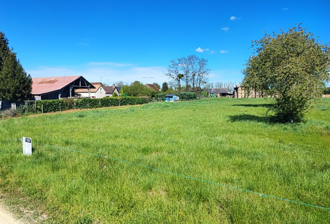 vente Terrain constructible Buzancais - Photo 4