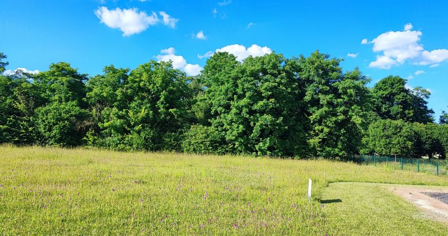 vente Terrain en lotissement Sainte Solange