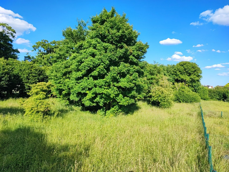 vente Terrain en lotissement Sainte Solange - Photo 2