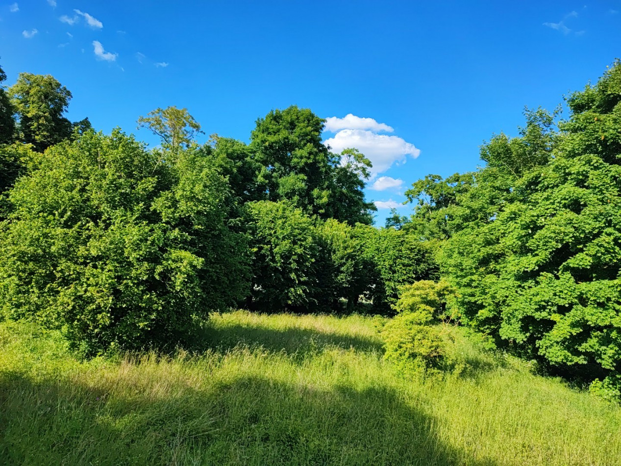 à vendre Terrain en lotissement Sainte Solange - Photo 2