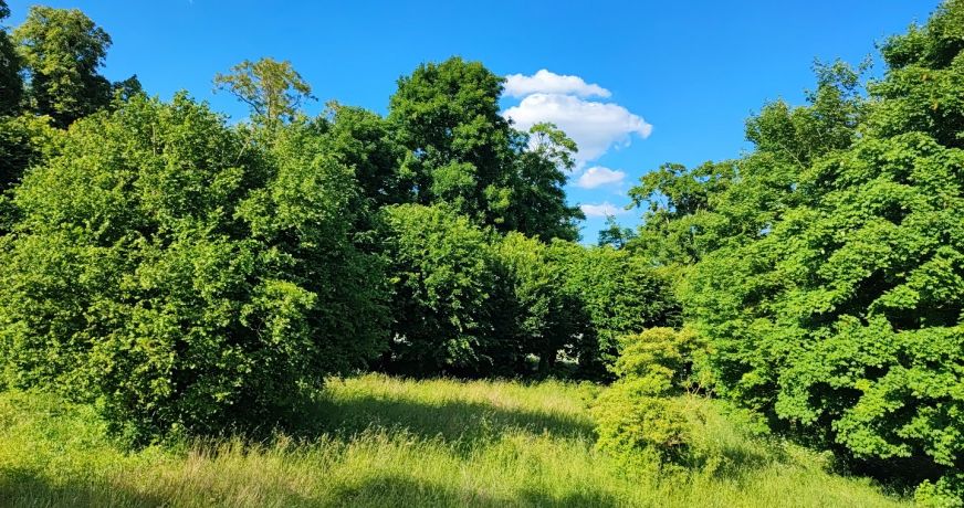 vente Terrain en lotissement Sainte Solange