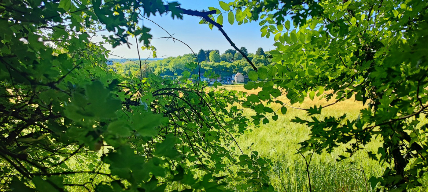 à vendre Terrain de loisir La Marche - Photo 5