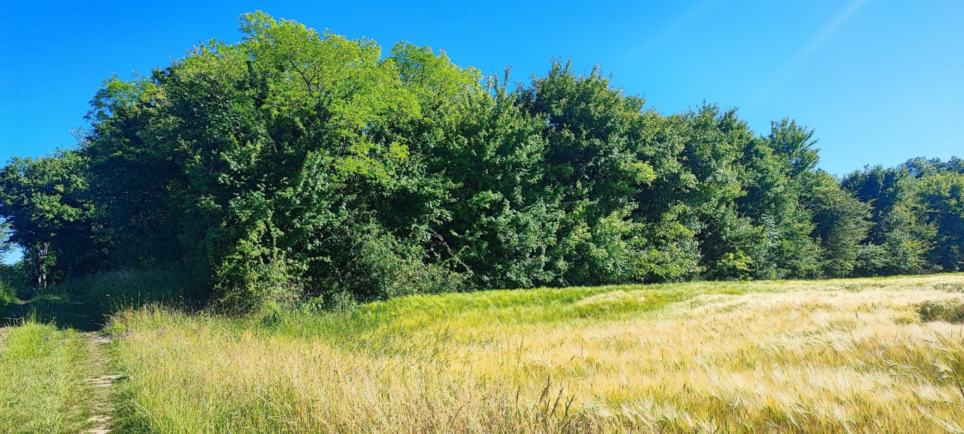 à vendre Terrain de loisir La Marche - Photo 3