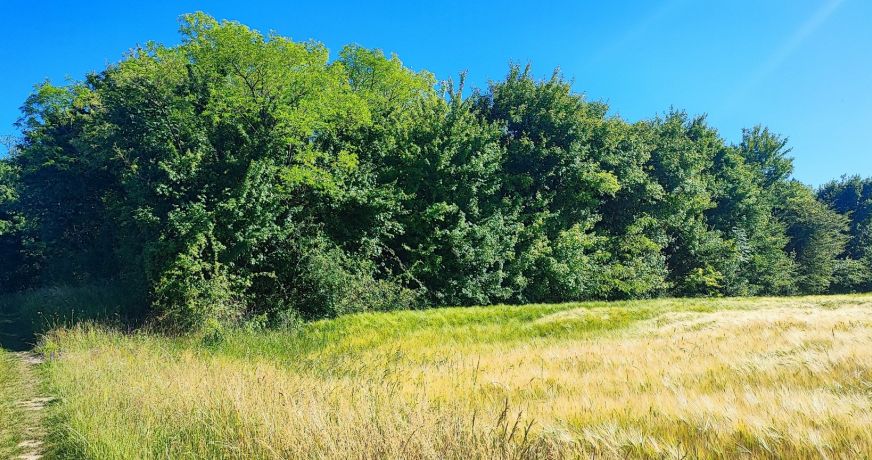 vente Terrain de loisir La Marche
