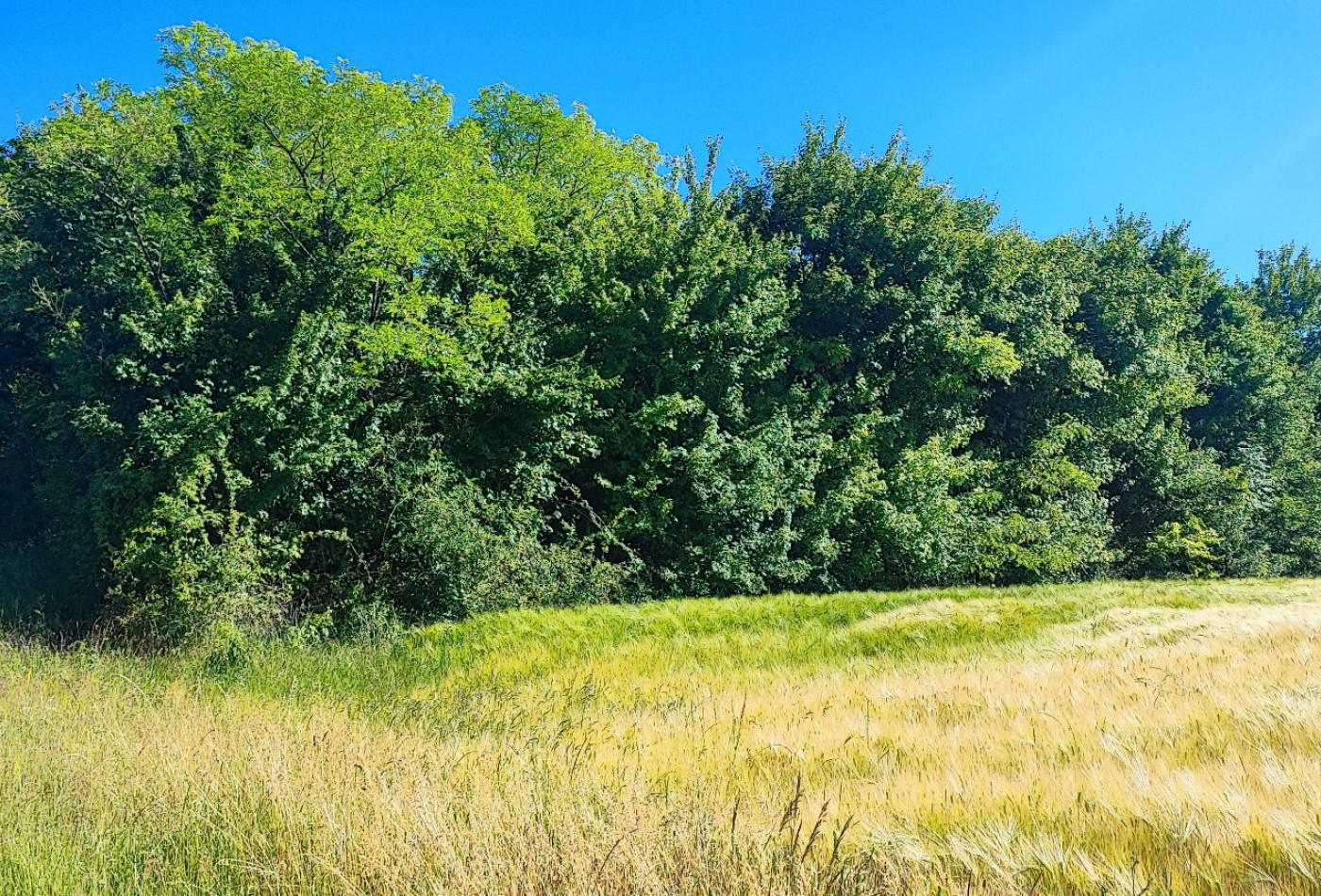 vente Terrain de loisir La Marche - Photo 3