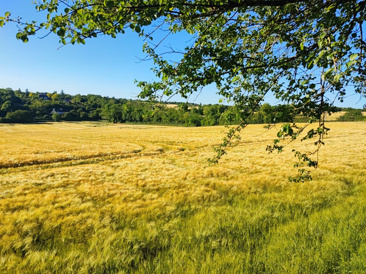 à vendre Terrain de loisir La Marche - Photo 8