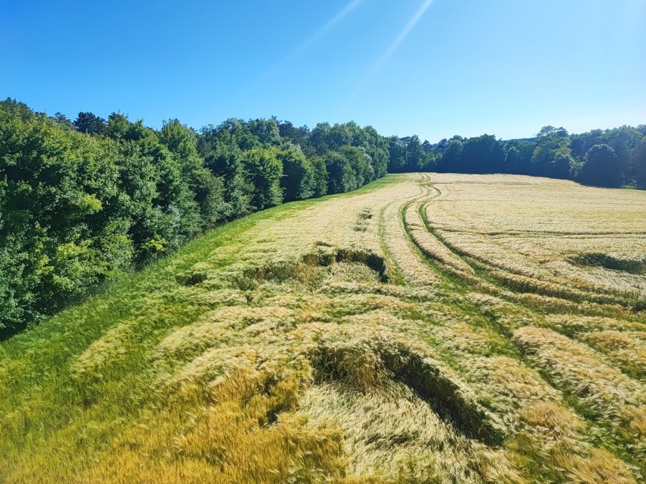à vendre Terrain de loisir La Marche - Photo 1