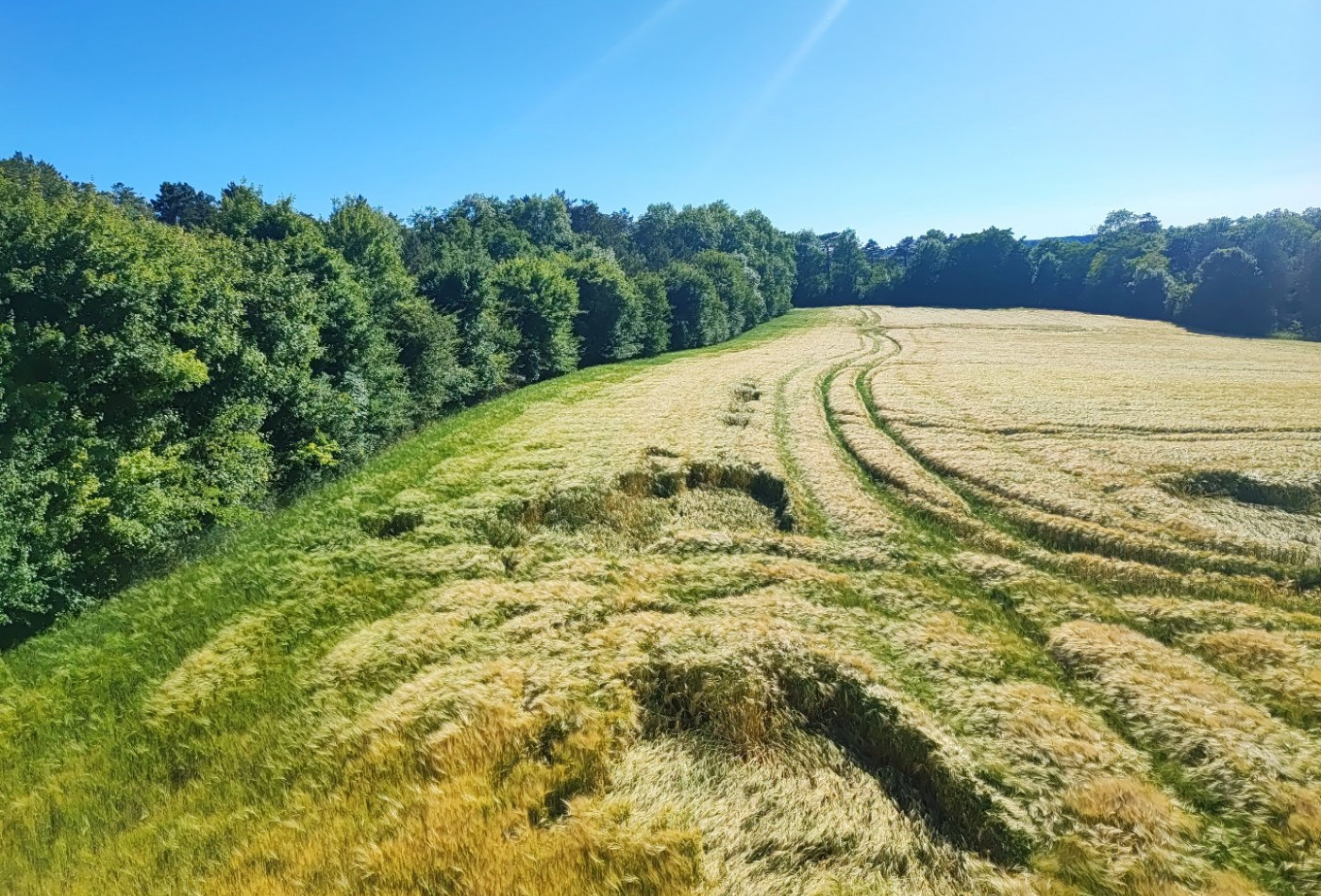 vente Terrain de loisir La Marche - Photo 1