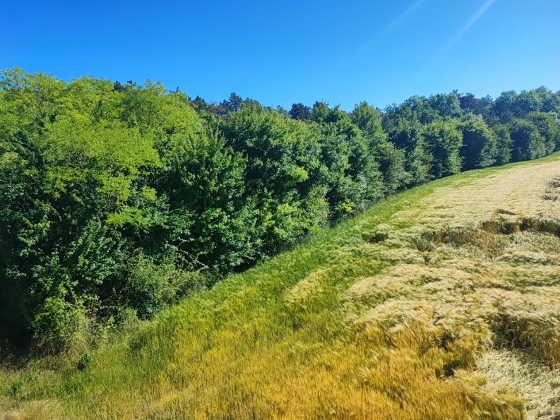 vente Terrain de loisir La Marche - Photo 9