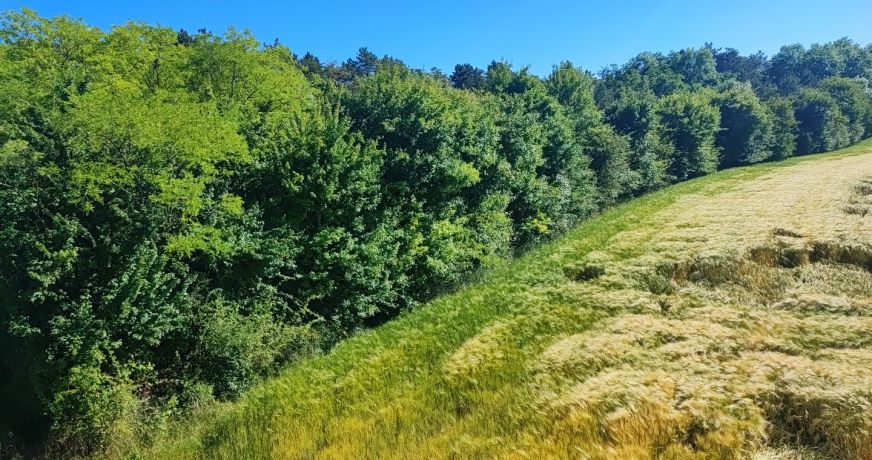 vente Terrain de loisir La Marche