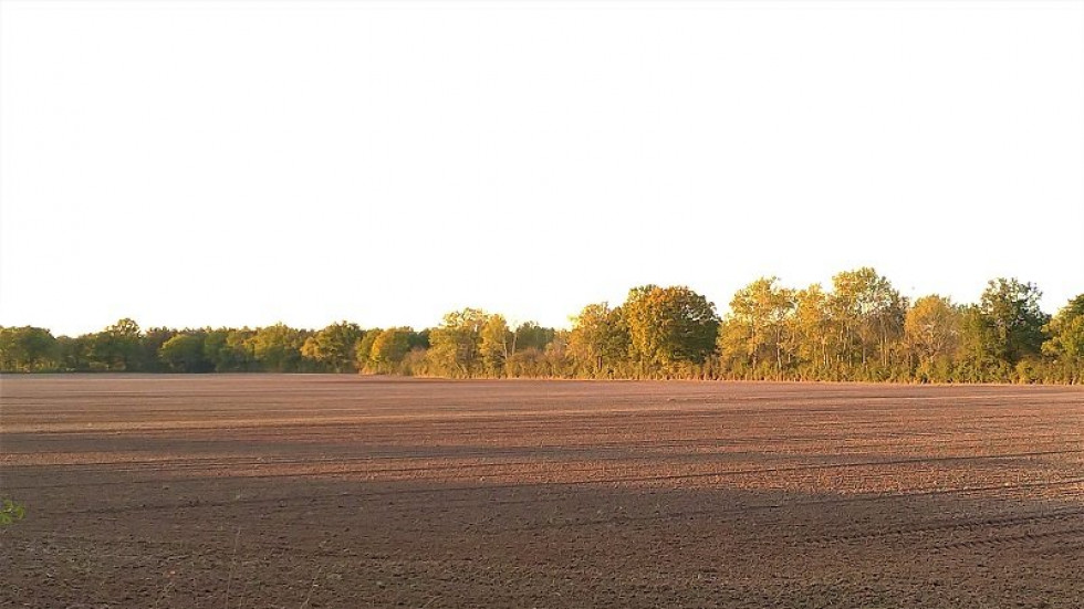 vente Terrain Jeu Les Bois - Photo 1