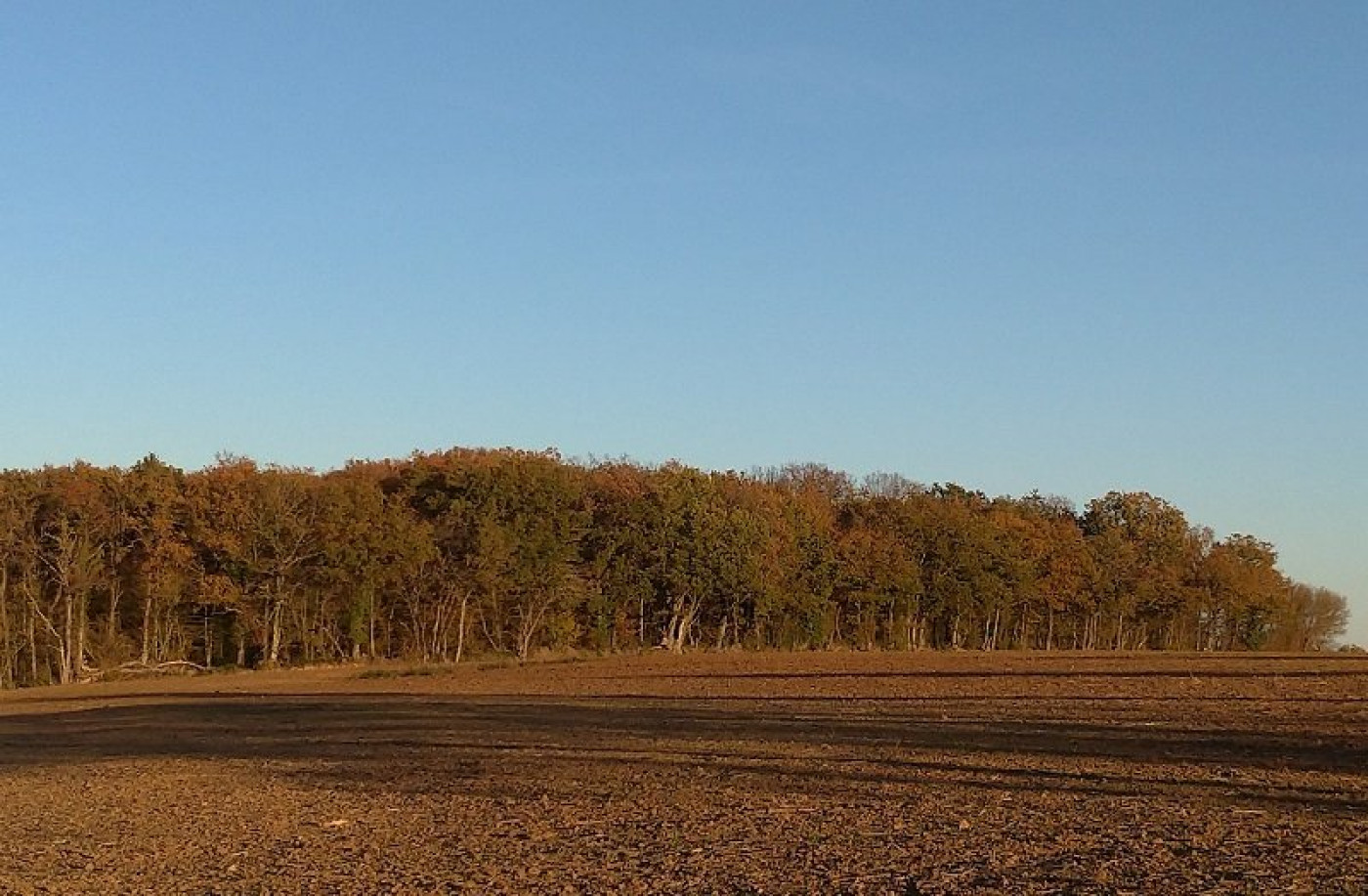 à vendre Terrain Jeu Les Bois - Photo 3