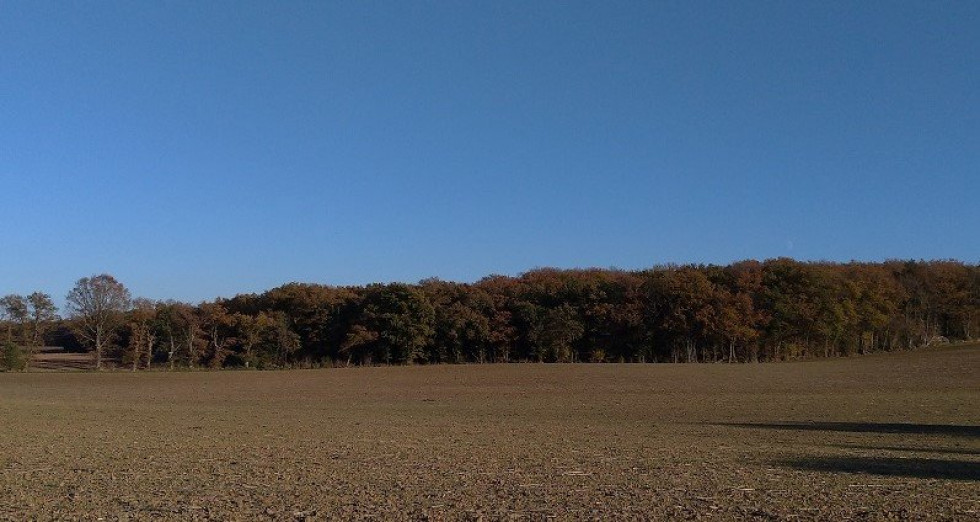 vente Terrain Jeu Les Bois - Photo 2
