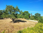 à vendre Terrain constructible Saint Caprais