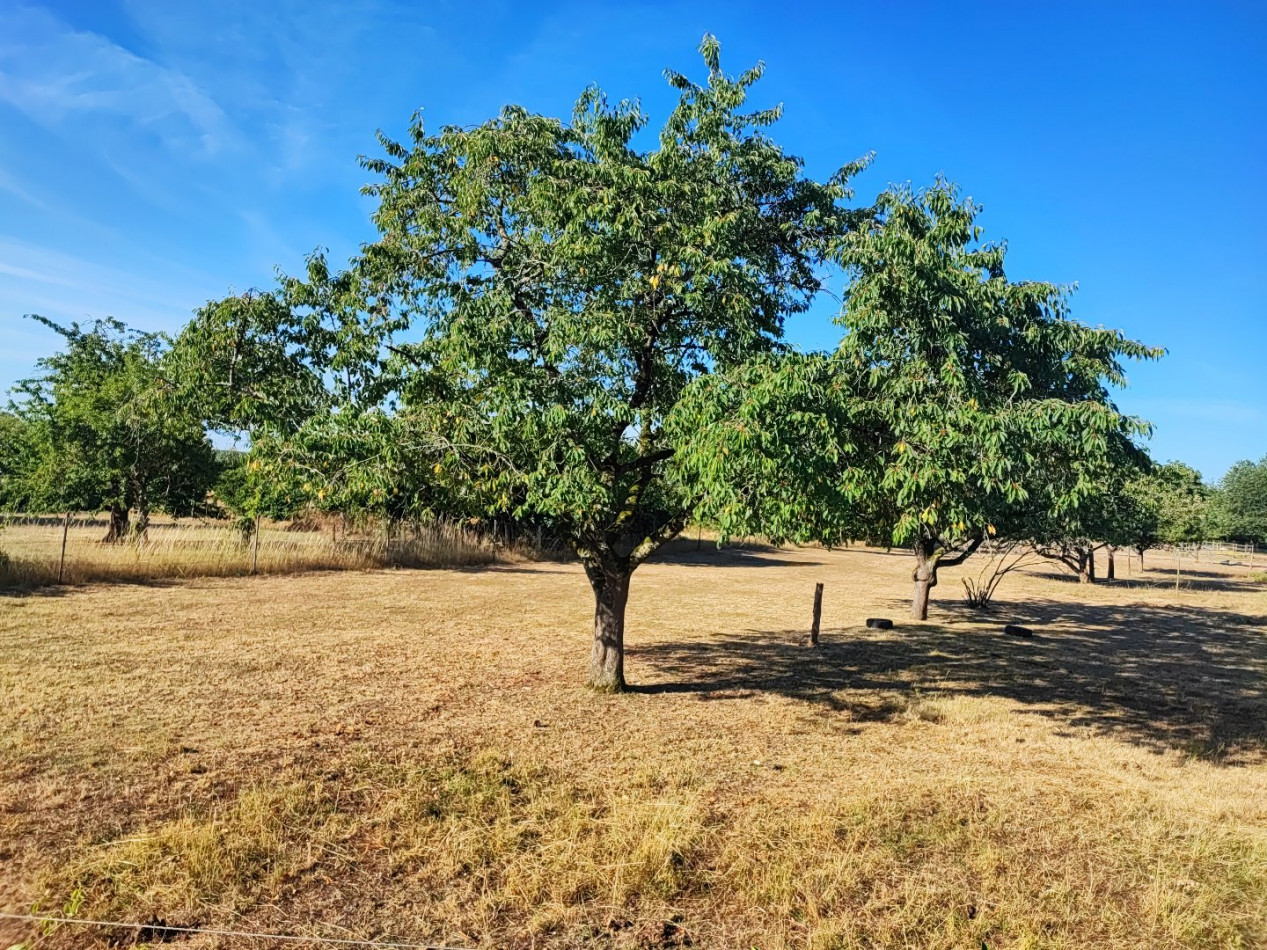 à vendre Terrain constructible Saint Caprais - Photo 1