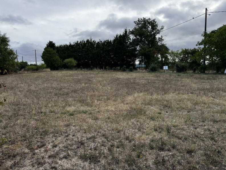 vente Terrain constructible Saint Caprais - Photo 2