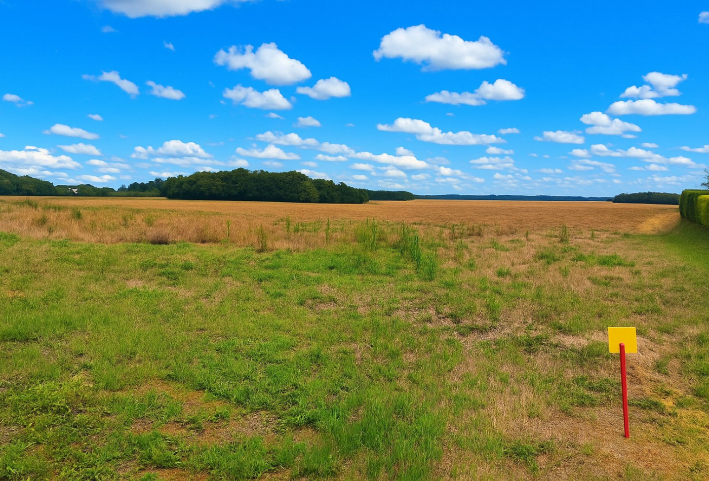 vente Terrain constructible Soye En Septaine - Photo 2